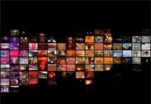 6 Tips On Taking Better Digital Photos Photo Both