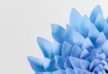 Offer Your Art Photography face to face or Online. Art