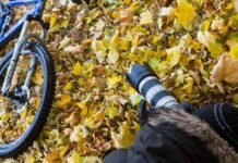 Bemästra fotografiets grunder genom strukturerade nybörjarkurser som inspirerar självförtroende